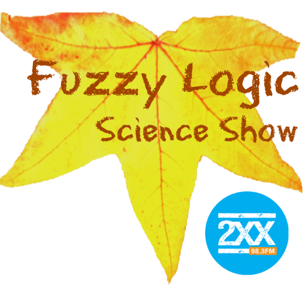 Fuzzy Logic - 26-5-2024