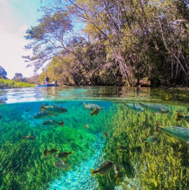 Bonito - Mato Grosso do Sul