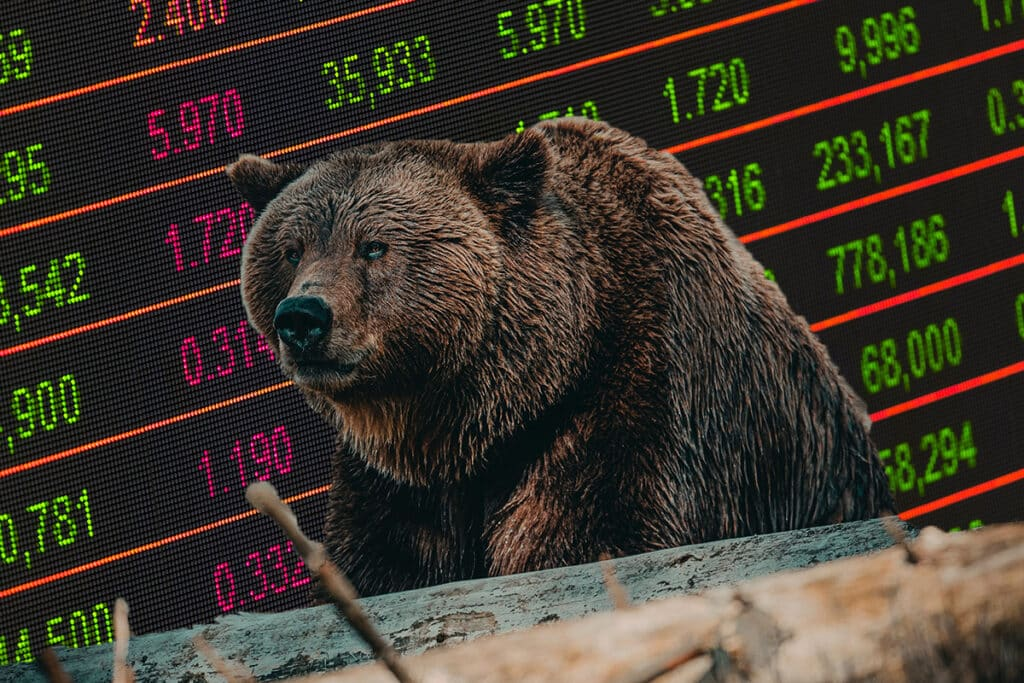 Você sabe o que significa Bear Market?
