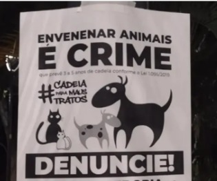 15/08/2023 Envenenar animais é crime!