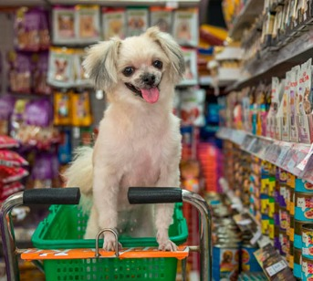 18/08/2023 Atenção aos produtos para pets