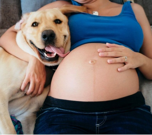 16/08/2023 Presença de animais