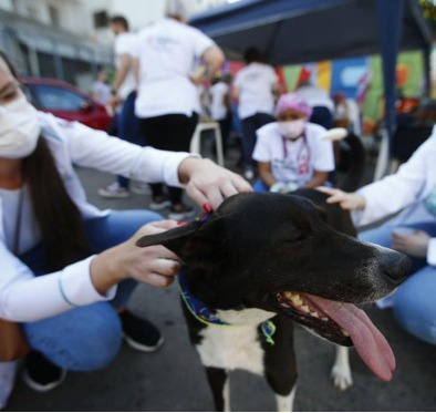 31/07/2023 Projeto Médicos-Veterinários de Rua