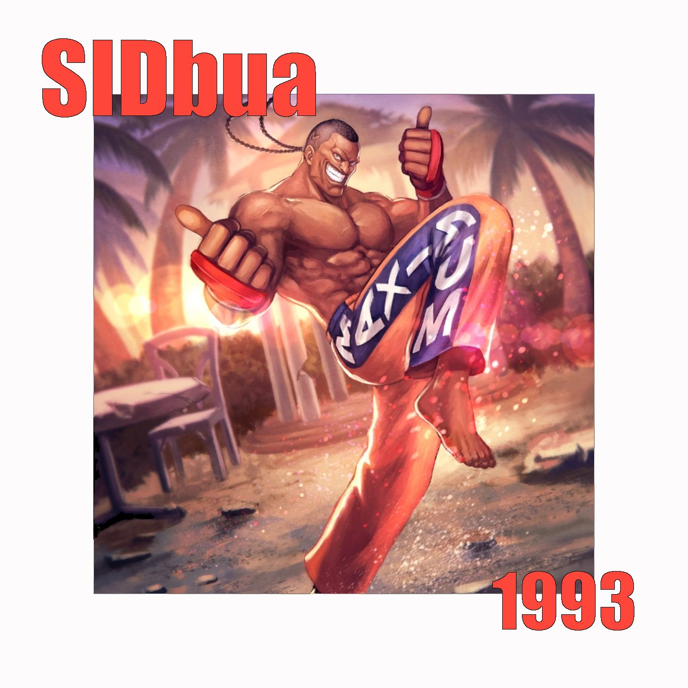 SIDbua 1993