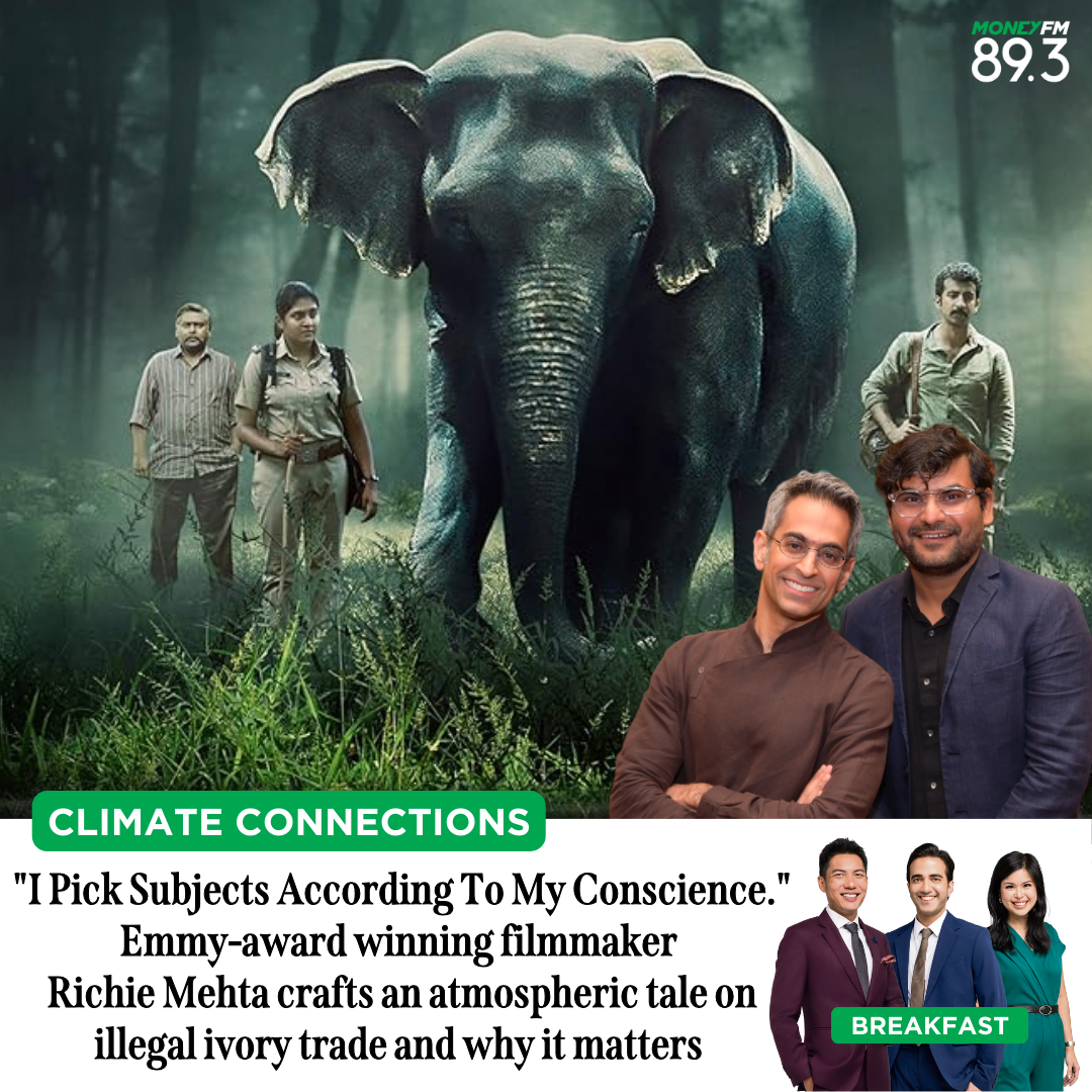 Climate Connections: "I Pick Subjects According To My Conscience." Emmy-award winning filmmaker Richie Mehta crafts an atmospheric tale on illegal ivory trade and why it matters