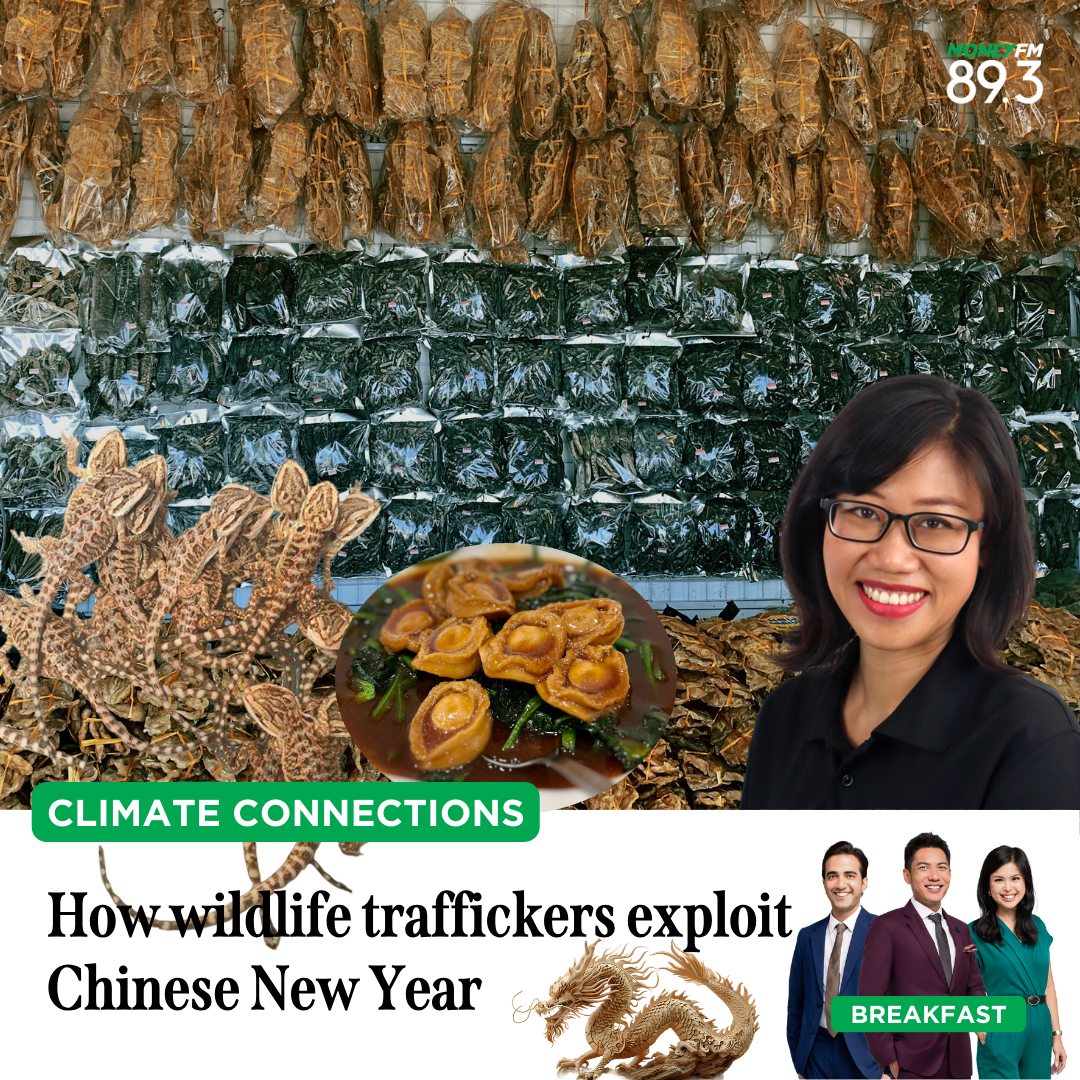 Climate Connections: How wildlife traffickers exploit Chinese New Year
