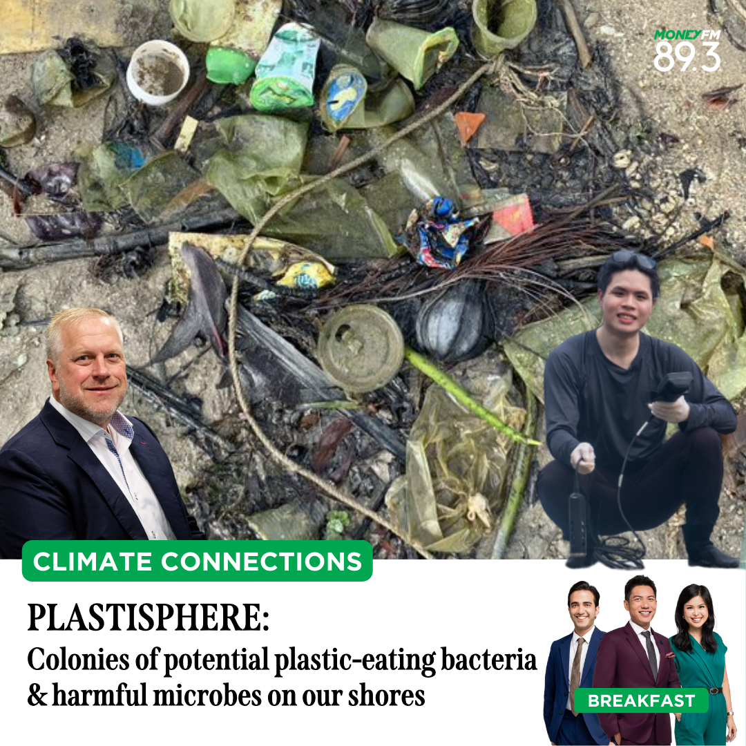 Climate Connections: Plastisphere - Colonies of potential plastic-eating bacteria & harmful microbes on our shores