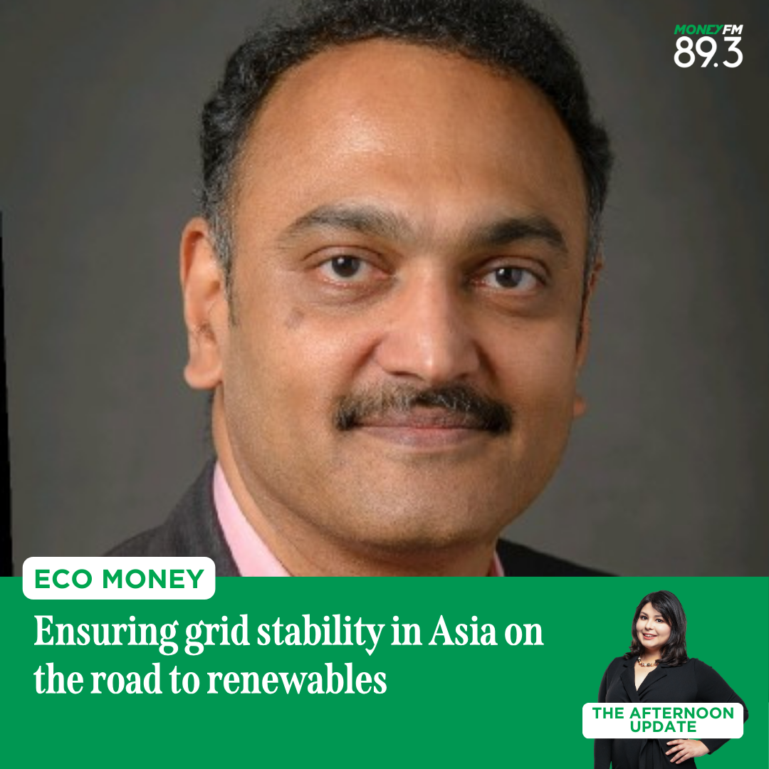 ECO MONEY: Ensuring grid stability in Asia on the road to renewables