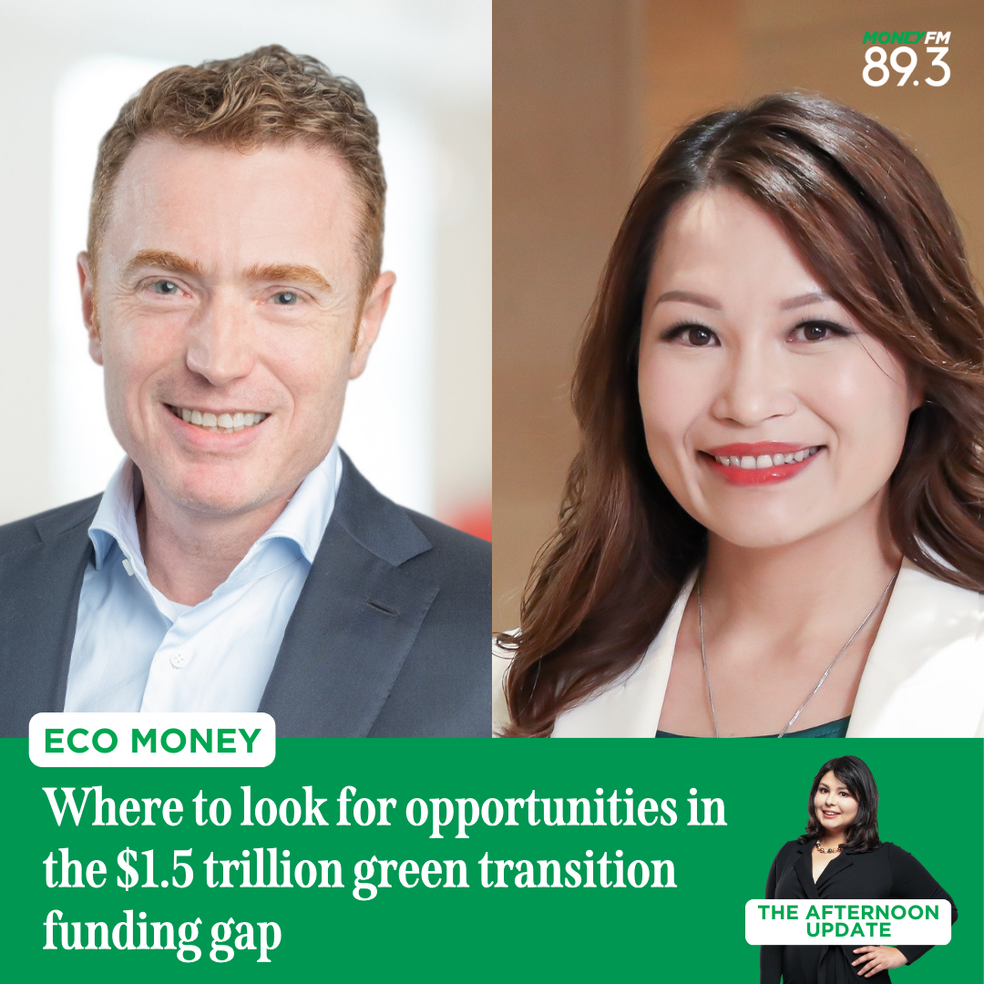 ECO MONEY: How to tap into the $1.5 tril green transition gap