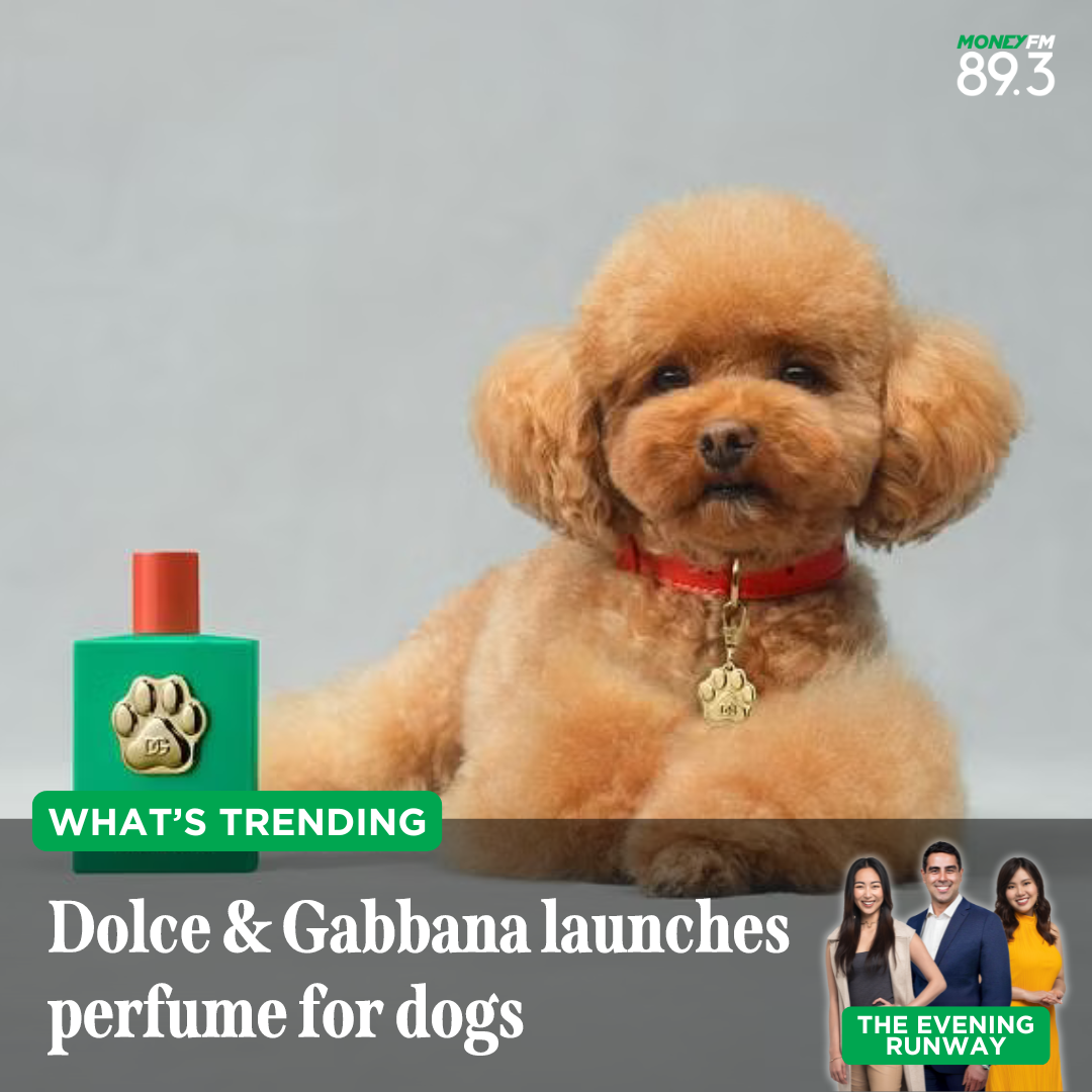 What's Trending: Would you buy designer pooch perfume for your dog?