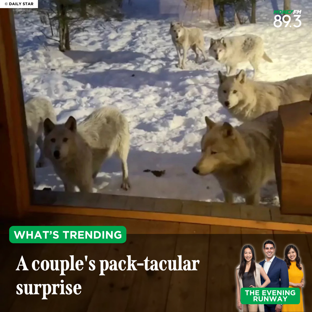 What's Trending: Who let the wolves out?