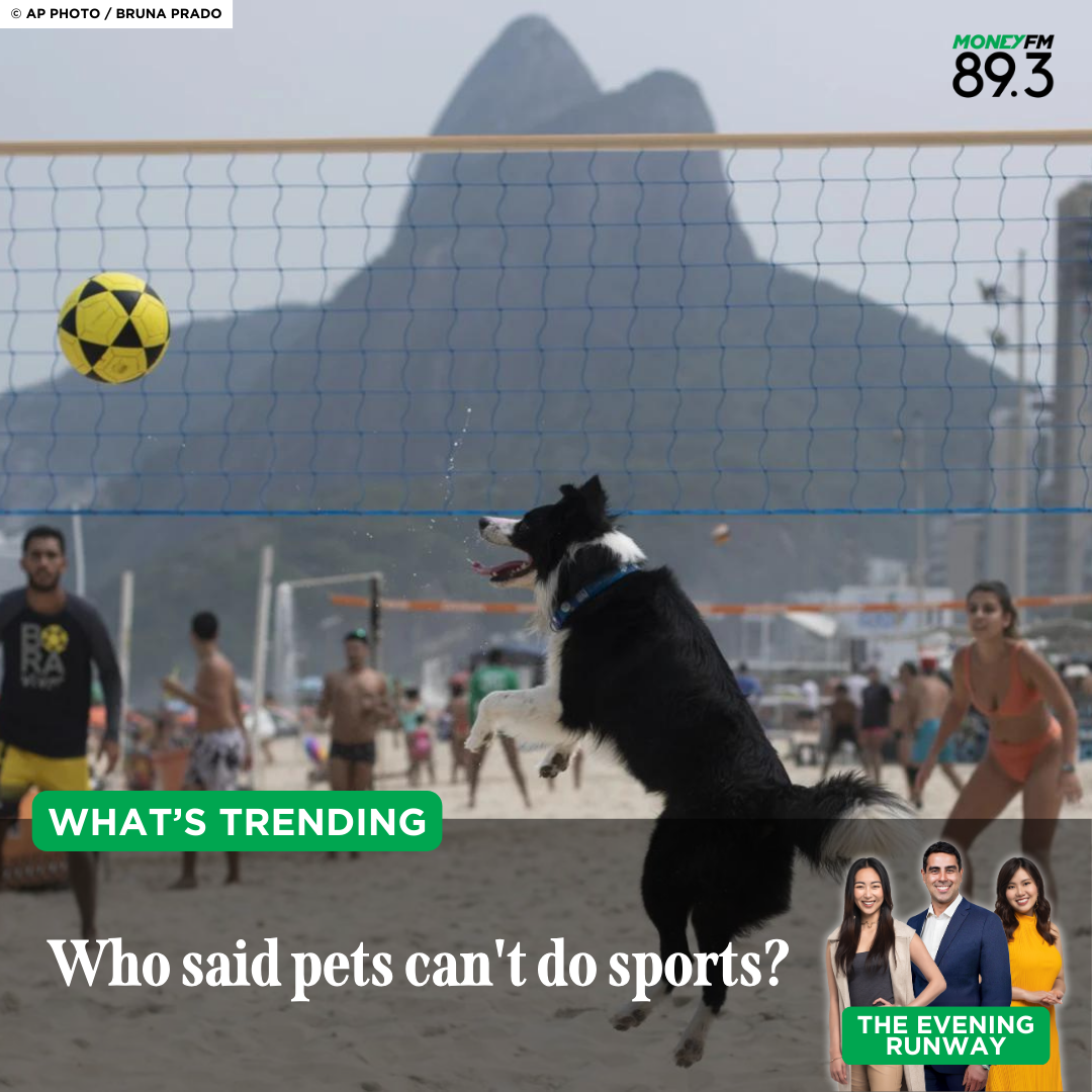 What's Trending: This dog is the next footvolley superstar