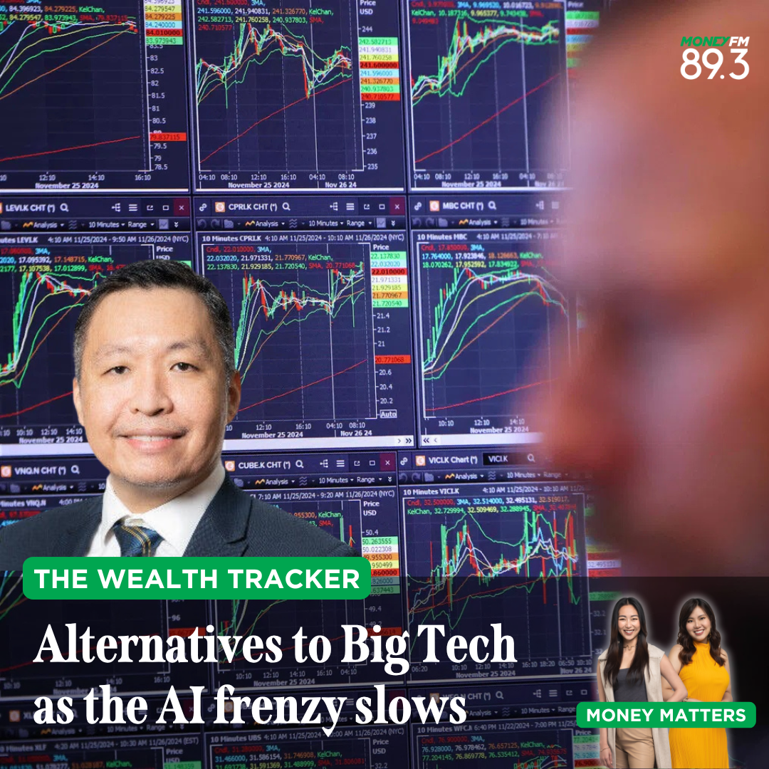 Wealth Tracker: What alternatives will surpass Big Tech's Mag 7 as AI frenzy slows?