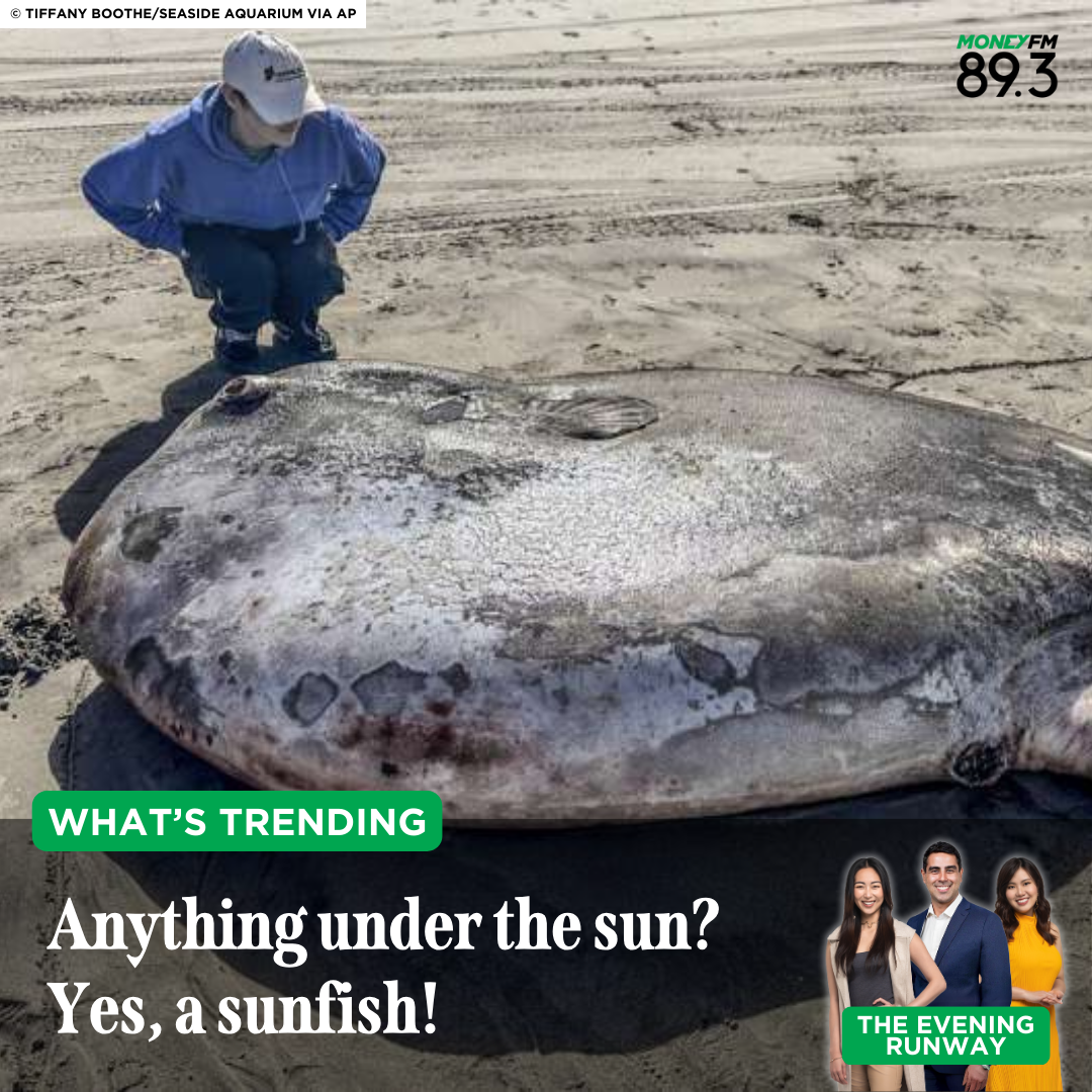 What's Trending: What washed up on Oregon's shores?