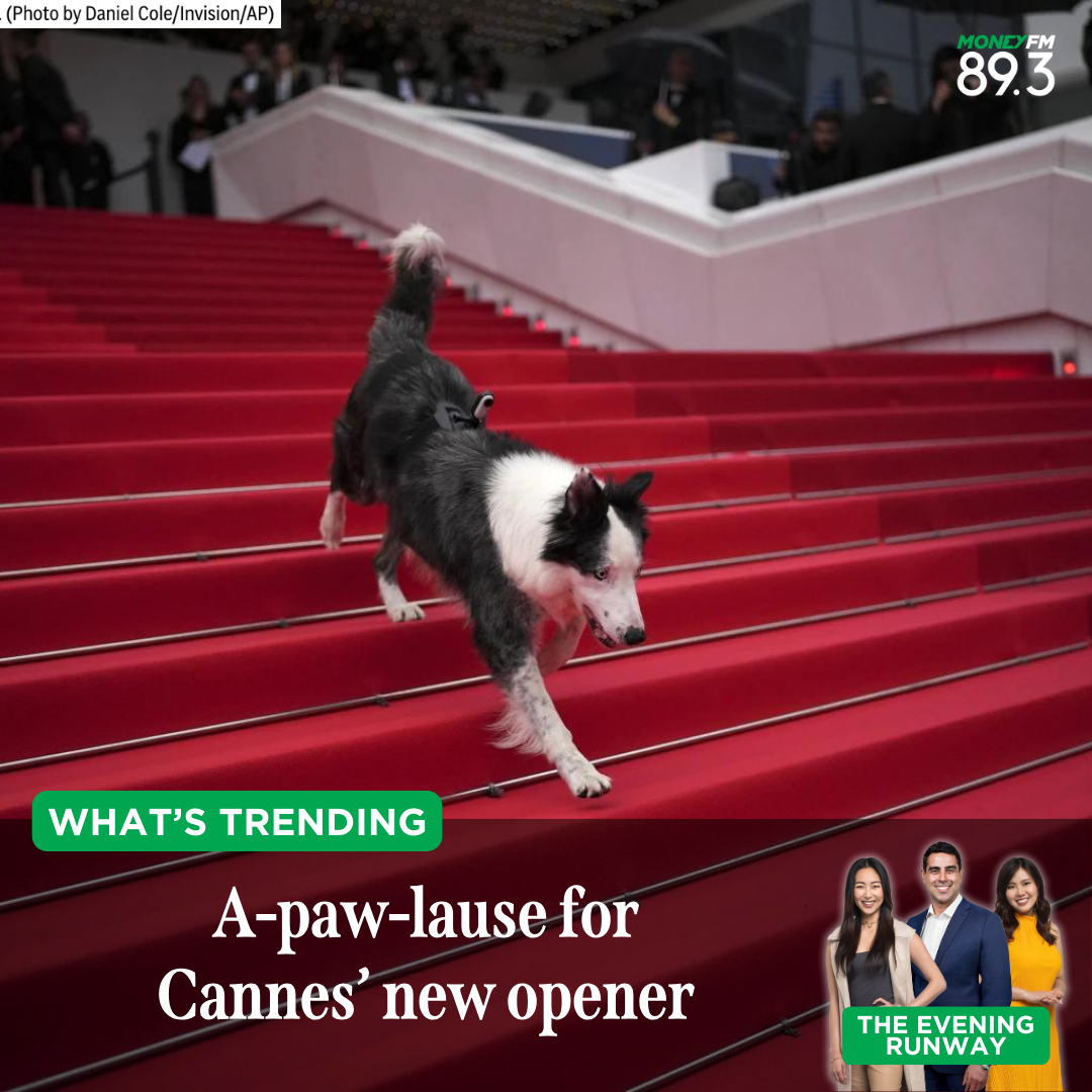 What's Trending: Who outshined the celebrities at Cannes this year?