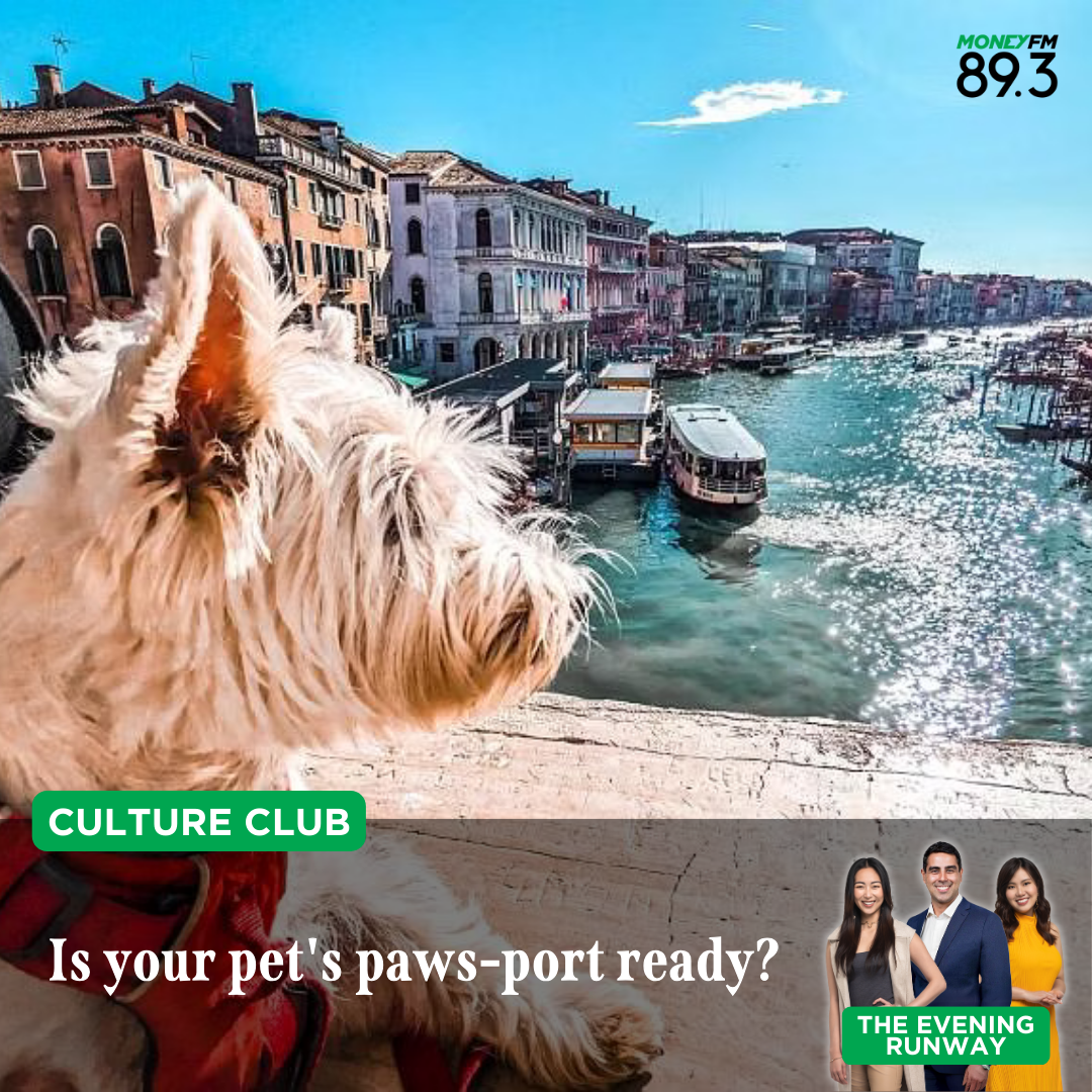 Culture Club: Would you take a private jet with your pets?