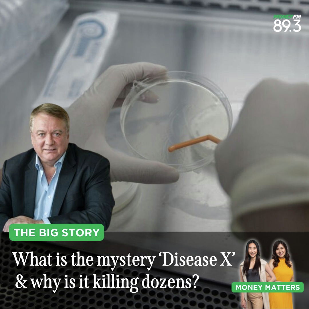 The Big Story: Should we be concerned of Disease X spreading?