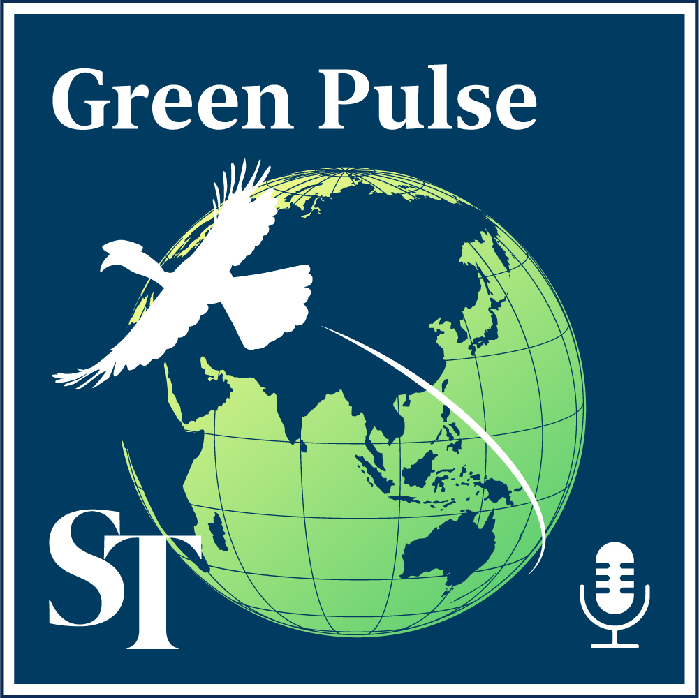 Making peat forests pay for their own conservation: Green Pulse Ep 27