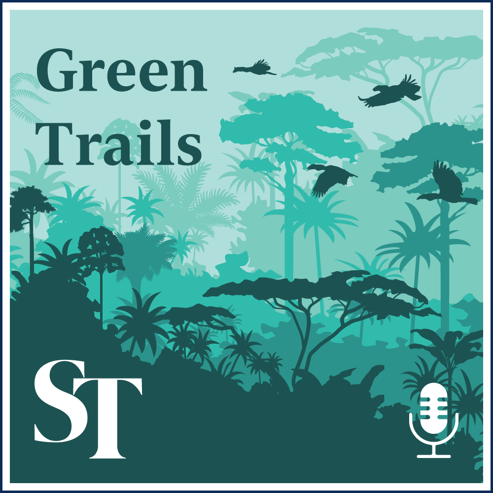 S1E3: Visit to Windsor Nature Park: Can insects in SG's backyard be foraged?