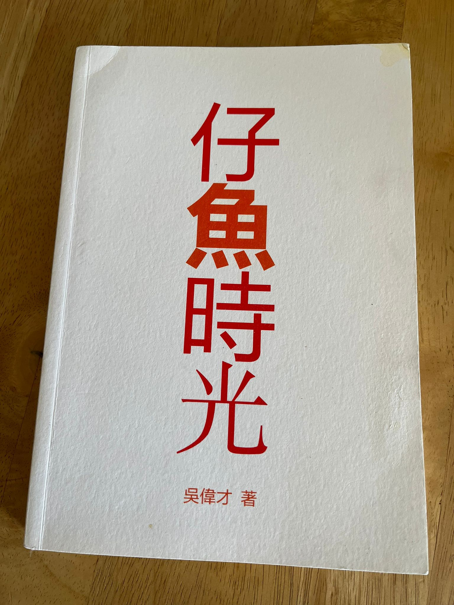 从自身年幼经历描述50、60年代南洋华人移民的生活  -《仔鱼时光》吴伟才