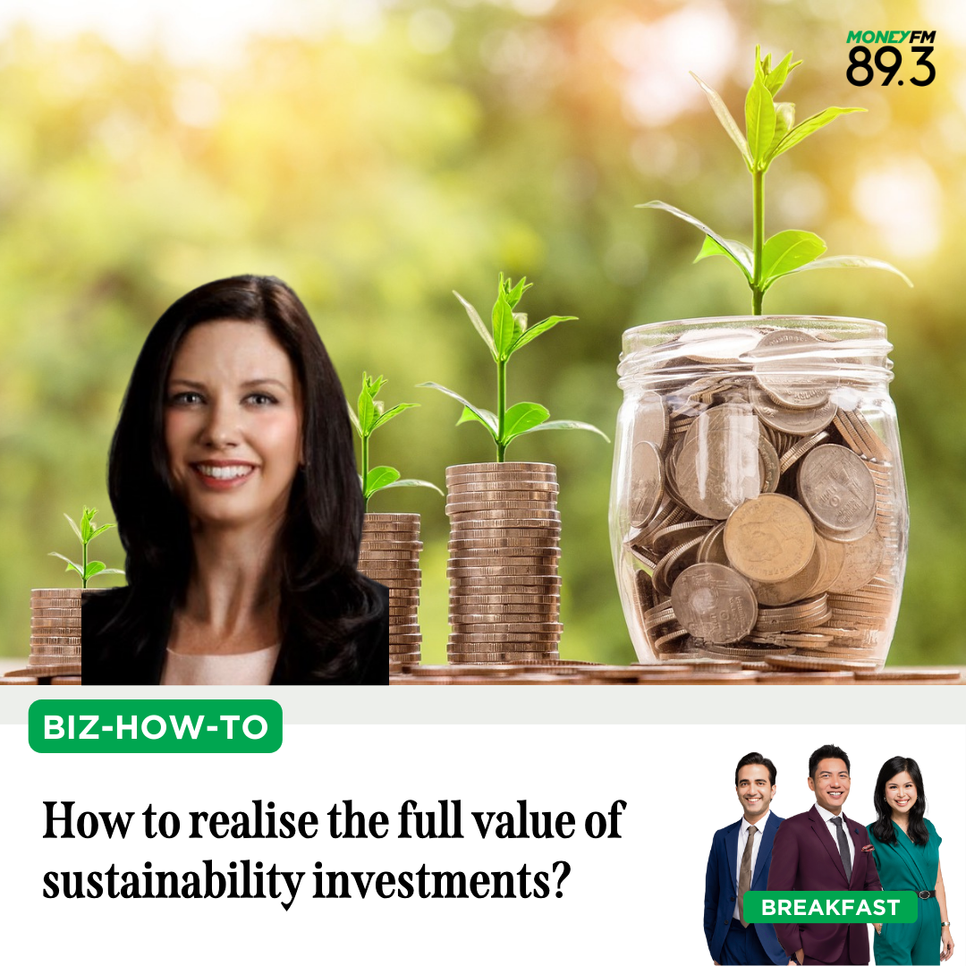 Biz-How-To: How to realise the full value of sustainability investments?