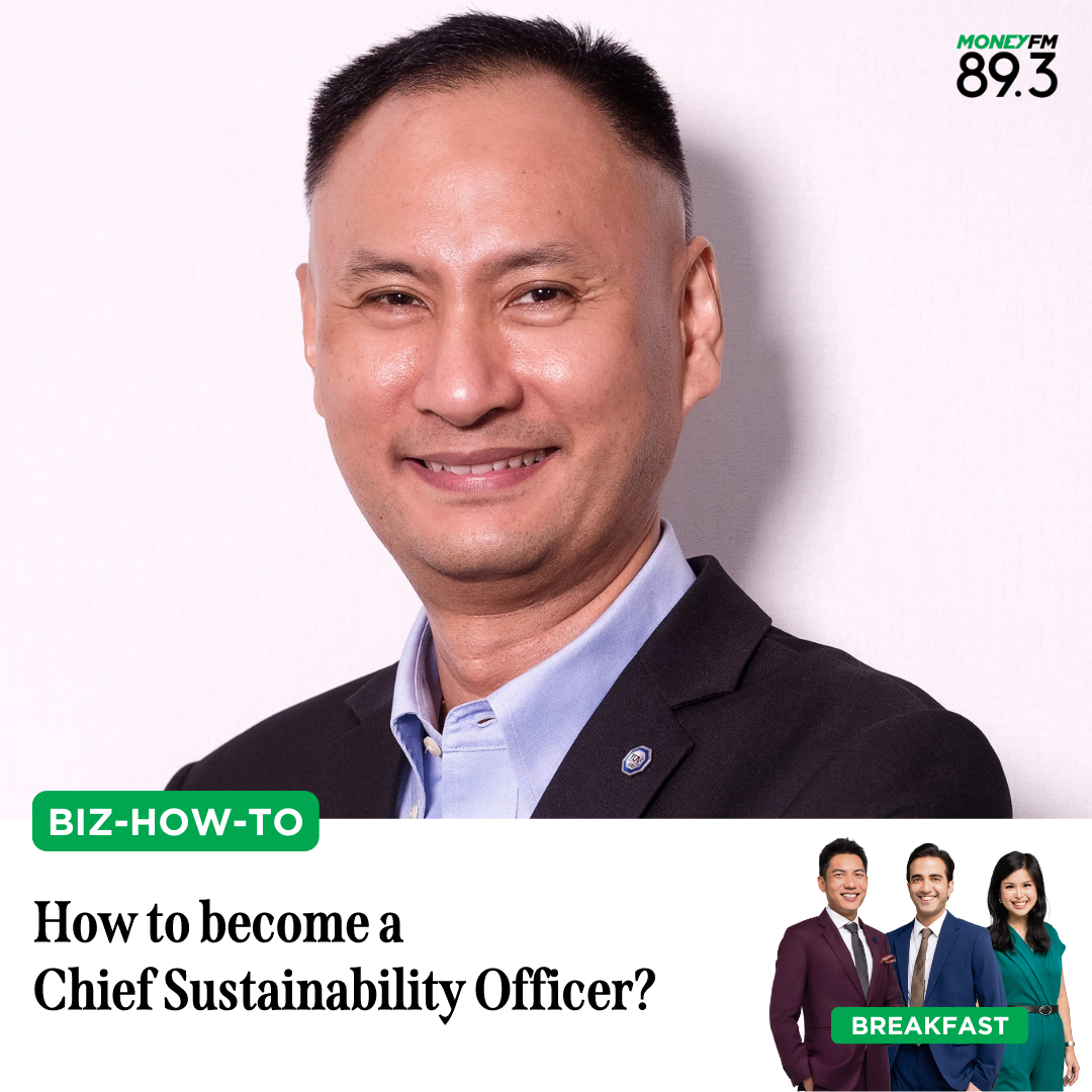 Biz-How-To: How to become a Chief Sustainability Officer?