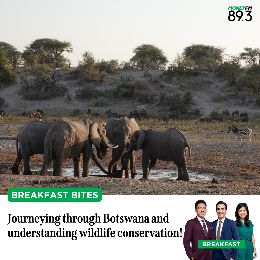 Breakfast Bites: Journeying through Botswana and understanding wildlife conservation!