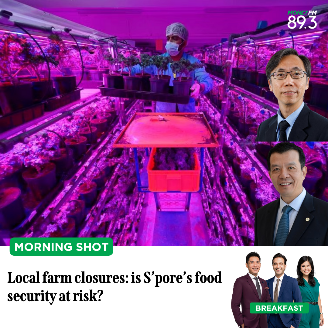 Morning Shot: Local farm closures - is Singapore's food security at risk?