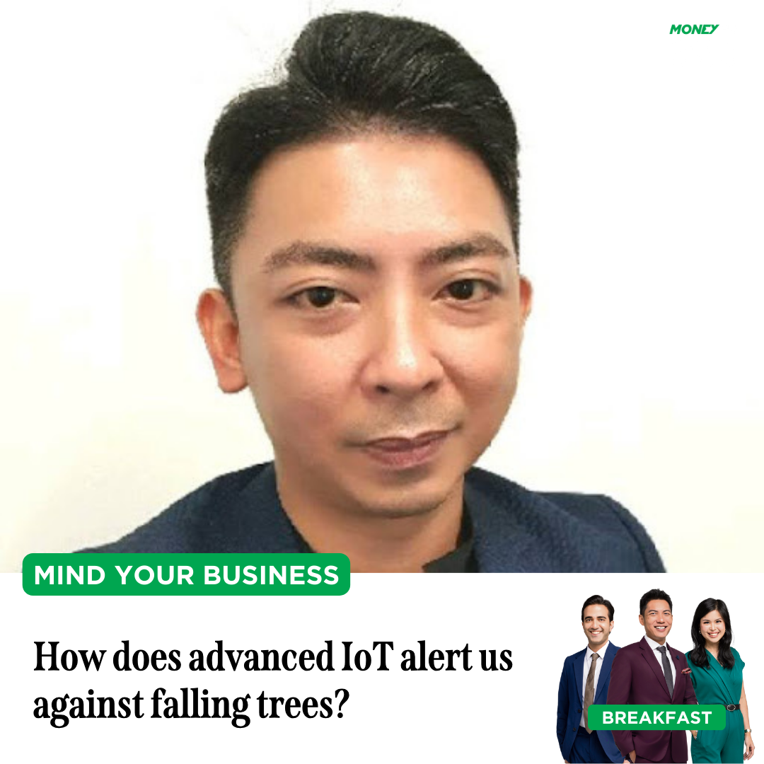 Mind Your Business: How can advanced IoT alert us against falling trees?