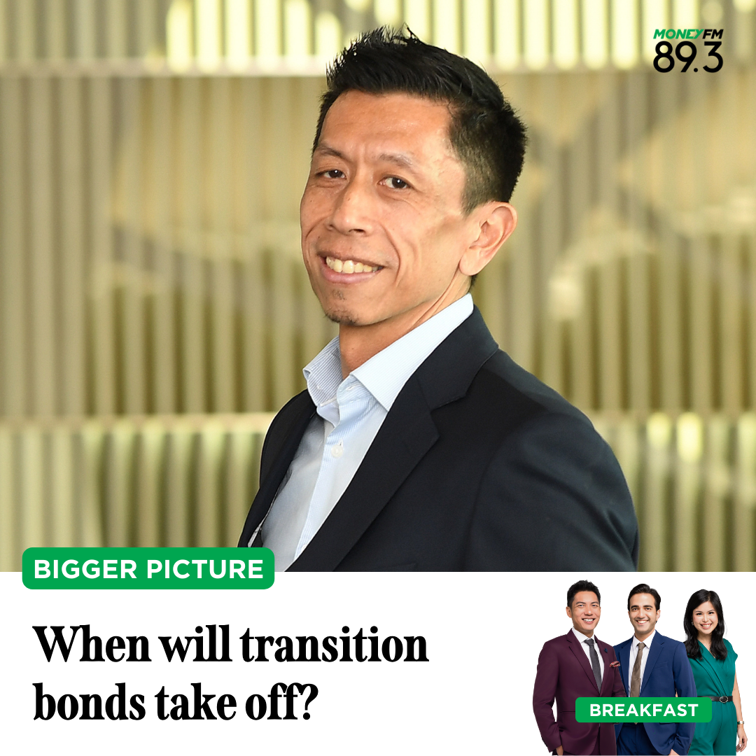 Bigger Picture: When will transition bonds take off?