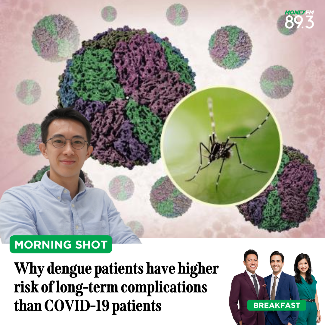 Morning Shot: Why dengue patients have higher risk of long-term complications than COVID-19 patients