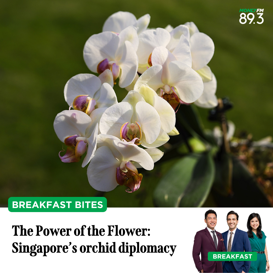 Breakfast Bites: Unique Singapore Diplomacy - The power of the flower