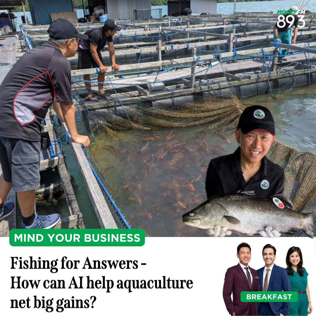 Mind Your Business: Fishing for Answers - How can AI help aquaculture net big gains?