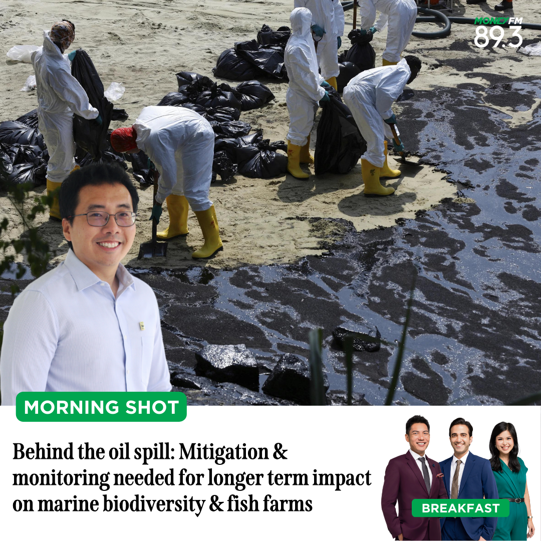 Morning Shot: Behind the oil spill - Mitigation & monitoring needed for longer term impact on marine biodiversity & fish farms