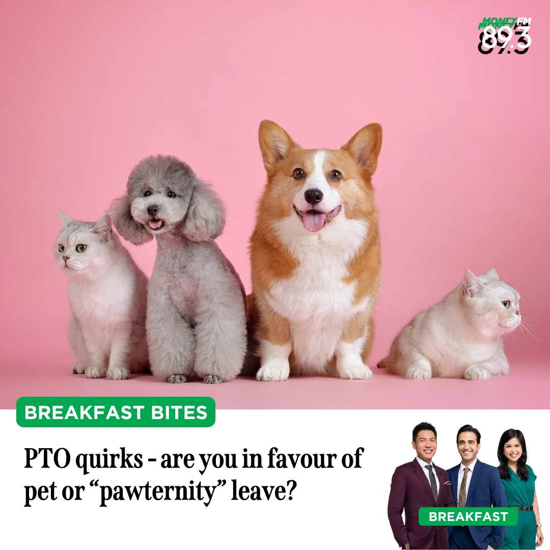 Breakfast Bites: PTO quirks - are you in favour of pet or "pawternity" leave?