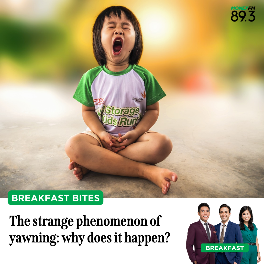 Breakfast Bites: The strange phenomenon of yawning - why does it happen?