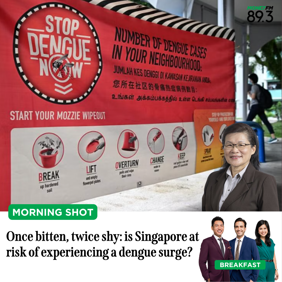 Morning Shot: Once bitten, twice shy: is Singapore at risk of experiencing a dengue surge?