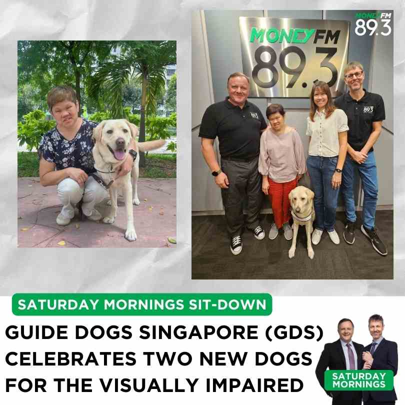 Saturday Mornings: Guide Dogs Singapore announces their two newest working dogs for Singapore's visually impaired