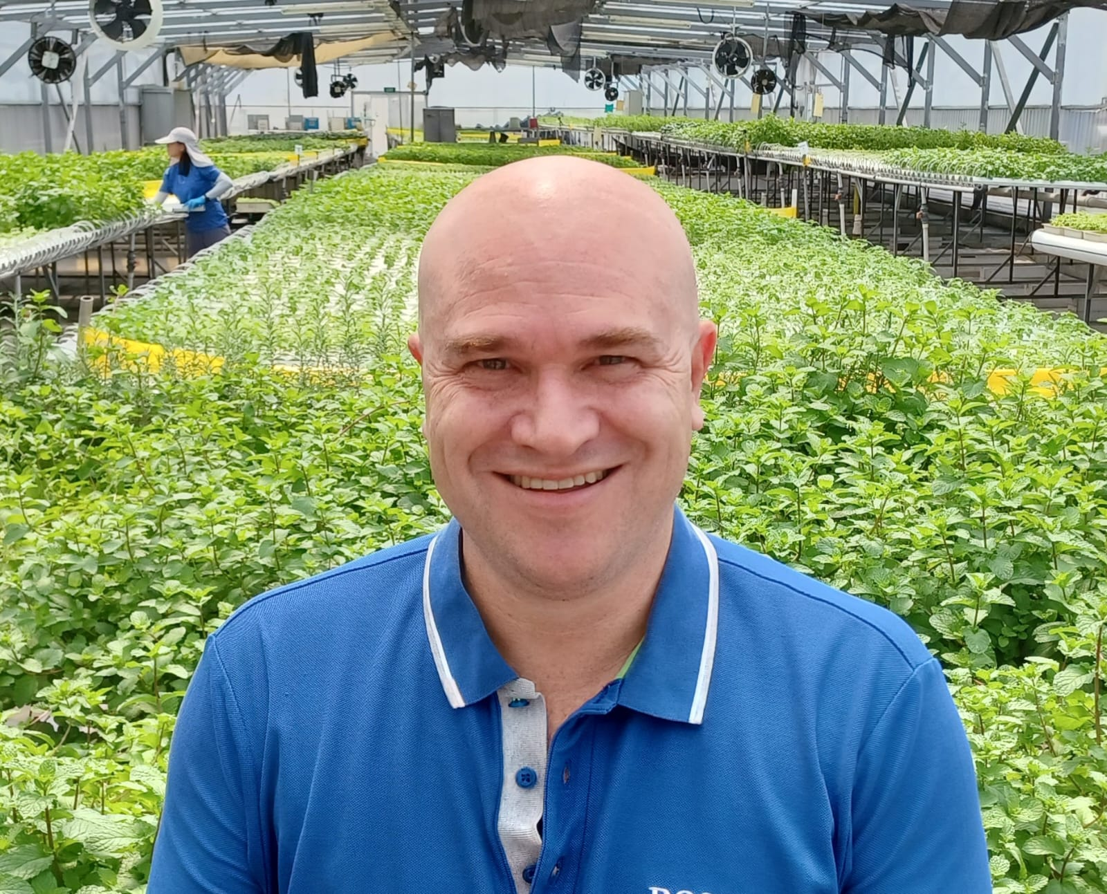 Weekends: Singapore startup ComCrop pushes new frontiers in rooftop farming and food security