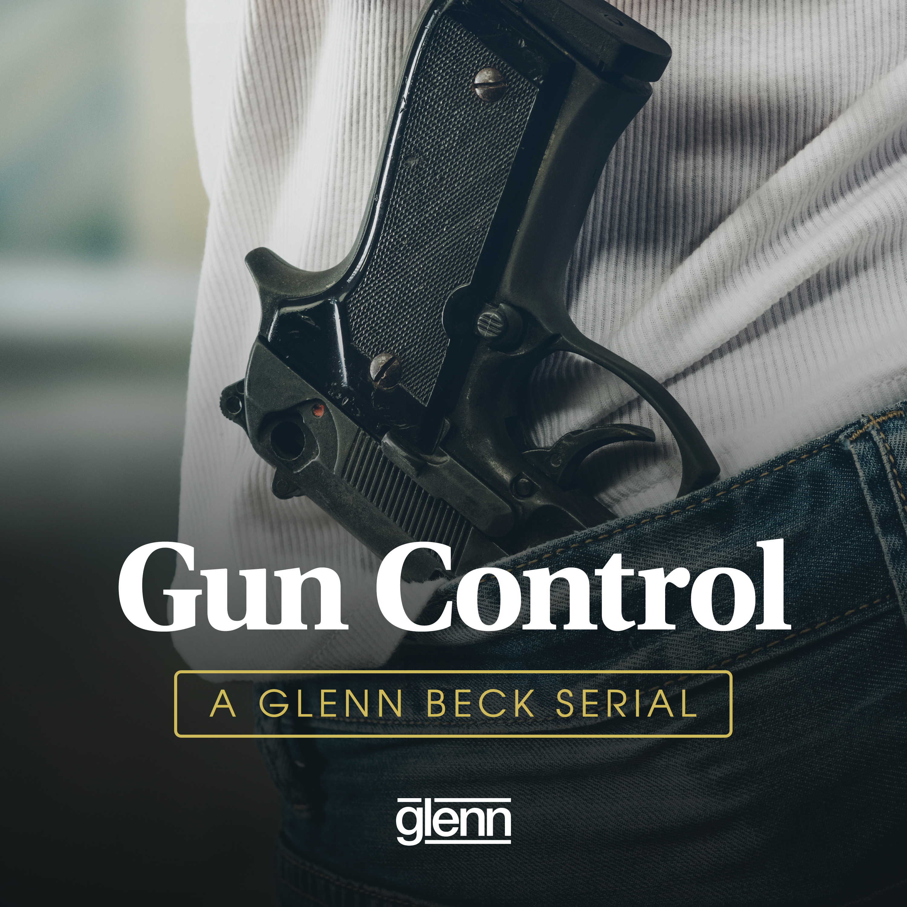 Serial: Gun Control - Confiscation