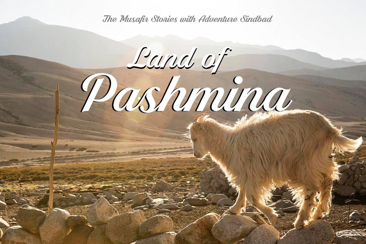 50: Land of Pashmina with Adventure Sindbad