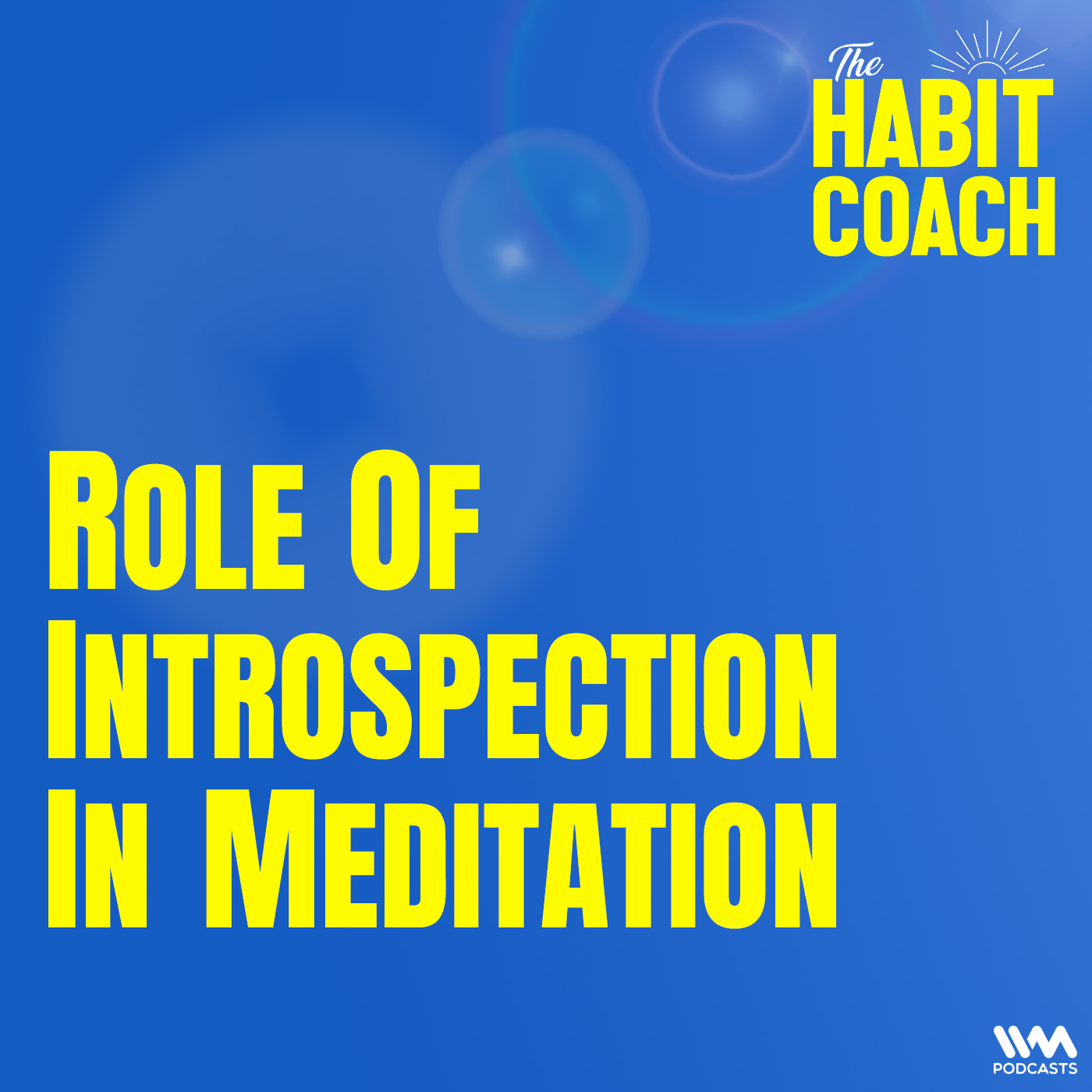 Role of Introspection in Meditation