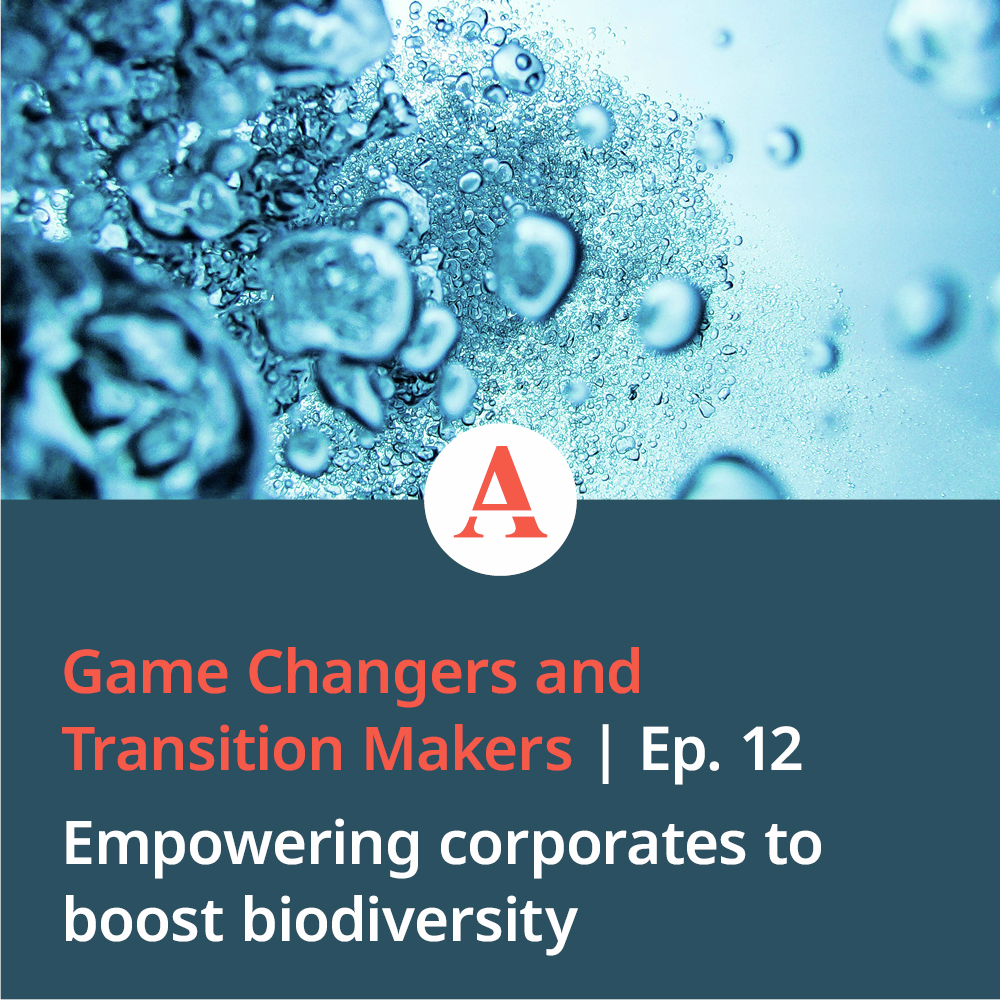 Game Changers and Transition Makers: Empowering corporates to boost biodiversity