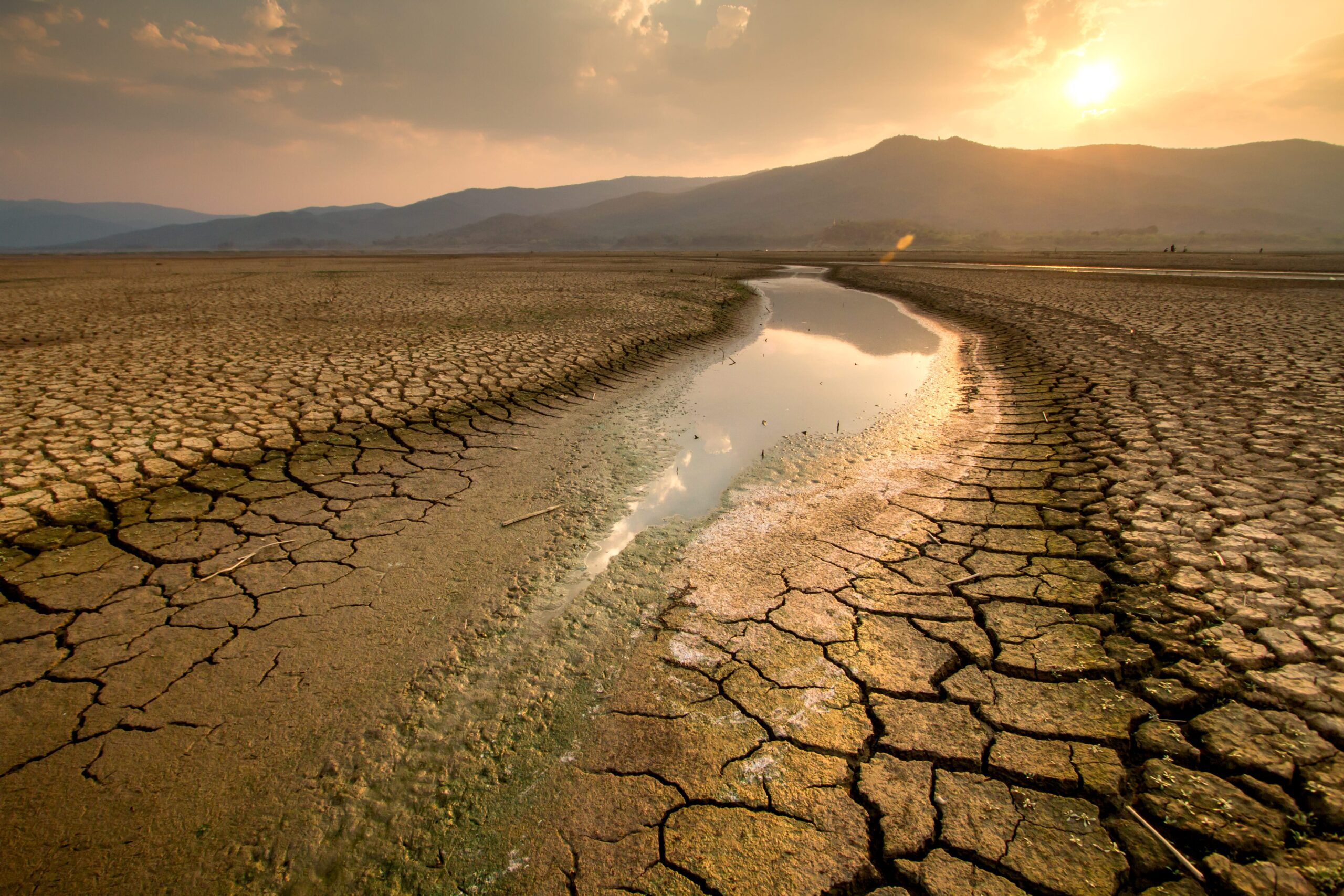"El 88% de los municipios en el país está afectado por la sequía": Haro
