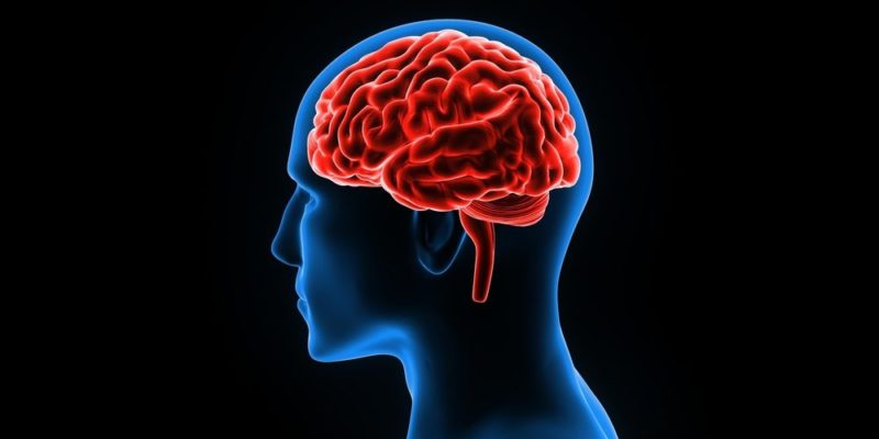 ¿Cómo podemos prevenir y tratar enfermedades cerebrales frecuentes? Esto dijo un experto