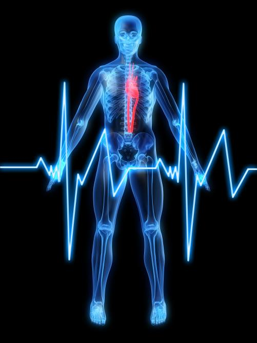 The Do-It-Yourself Guide To Using Heart Rate Variability Testing to Track Your Nervous System Health