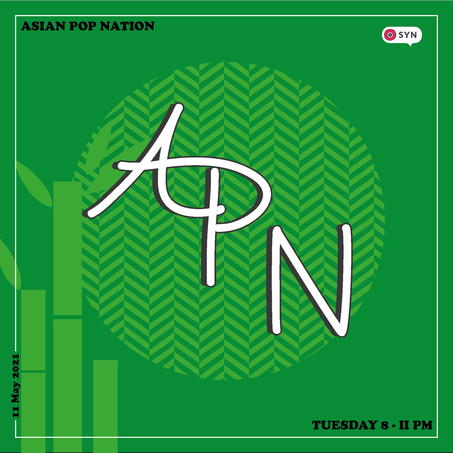 APN Season 2: Episode 4 (11/05/21)