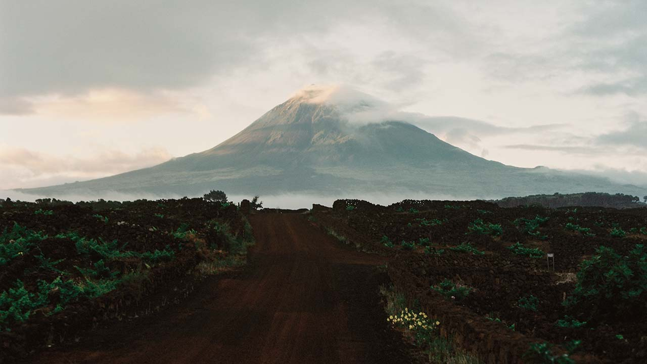 Island living, biodynamic wine and the thrill of a cold dip