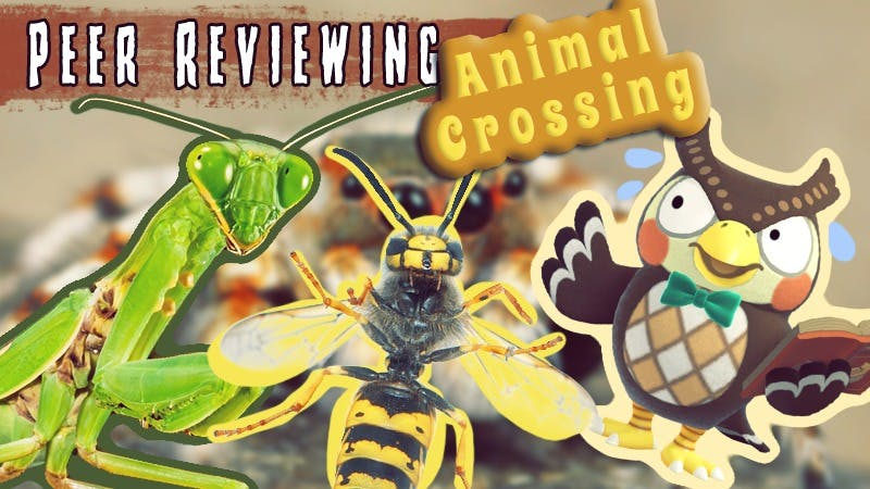 Peer Reviewing Animal Crossing! - podcast episode cover