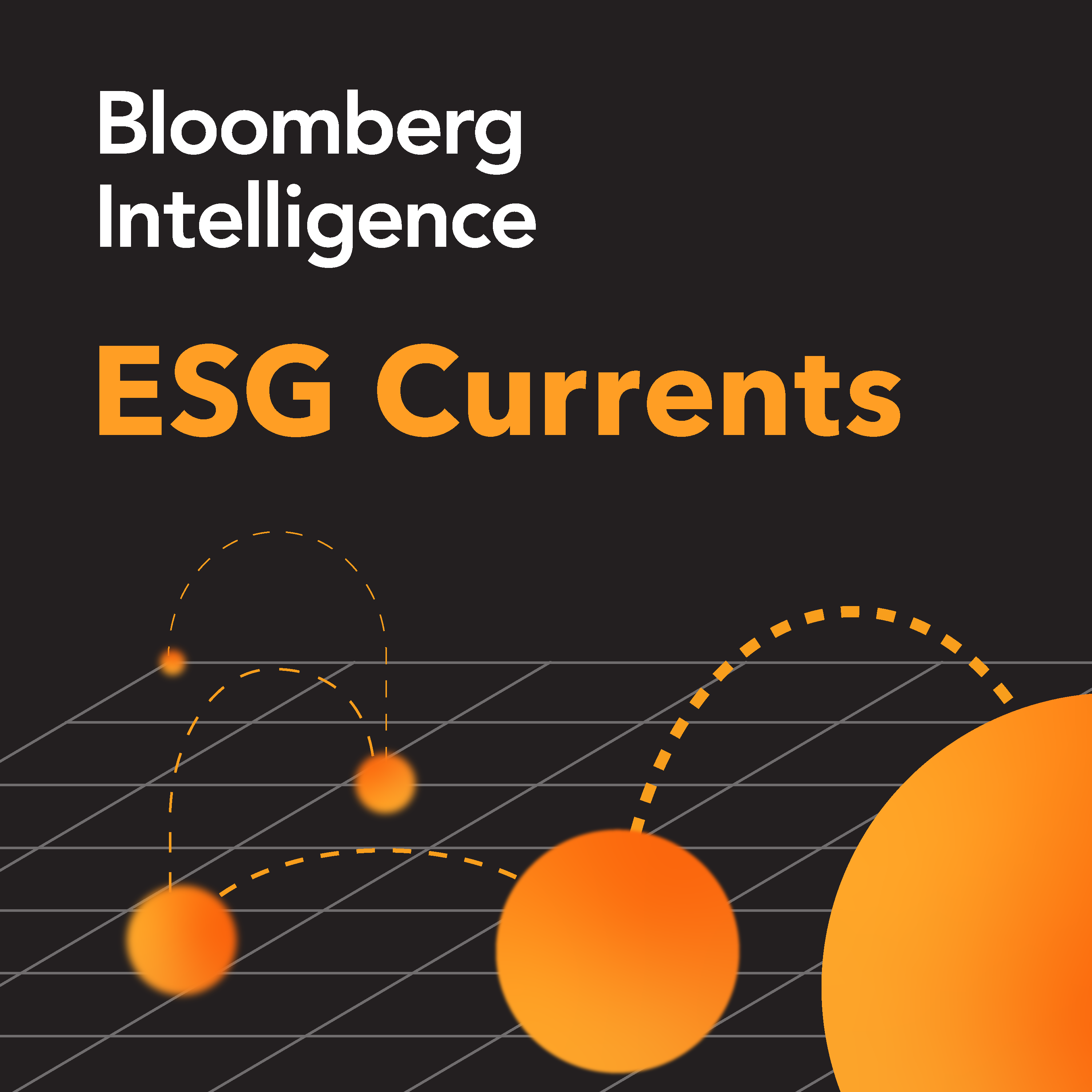 There's More to E Than Climate: ESG Currents